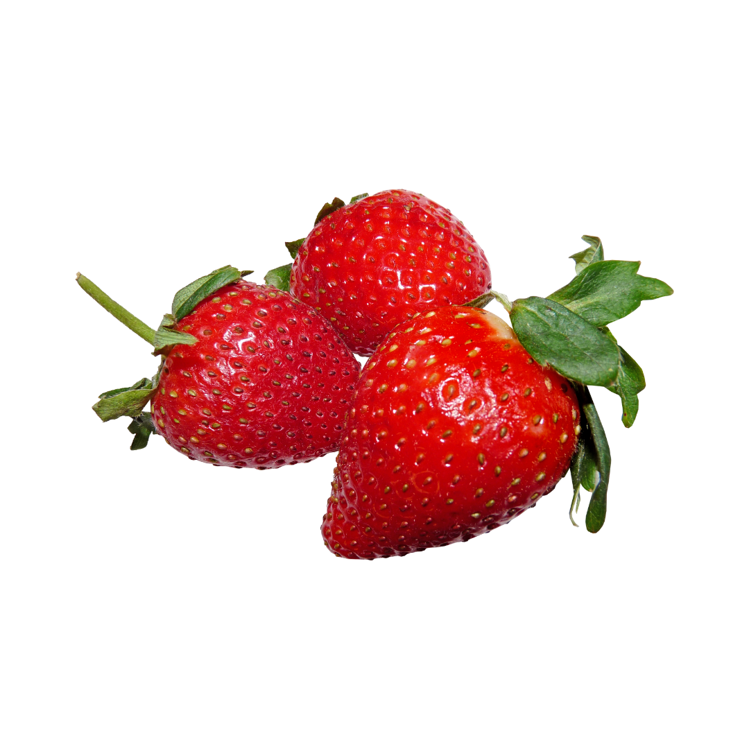 Contact Us 1 fruit 8
